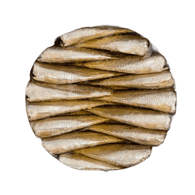 sardinas